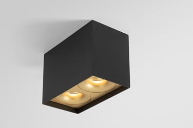 Black surface box light with a champagne accent around the led light