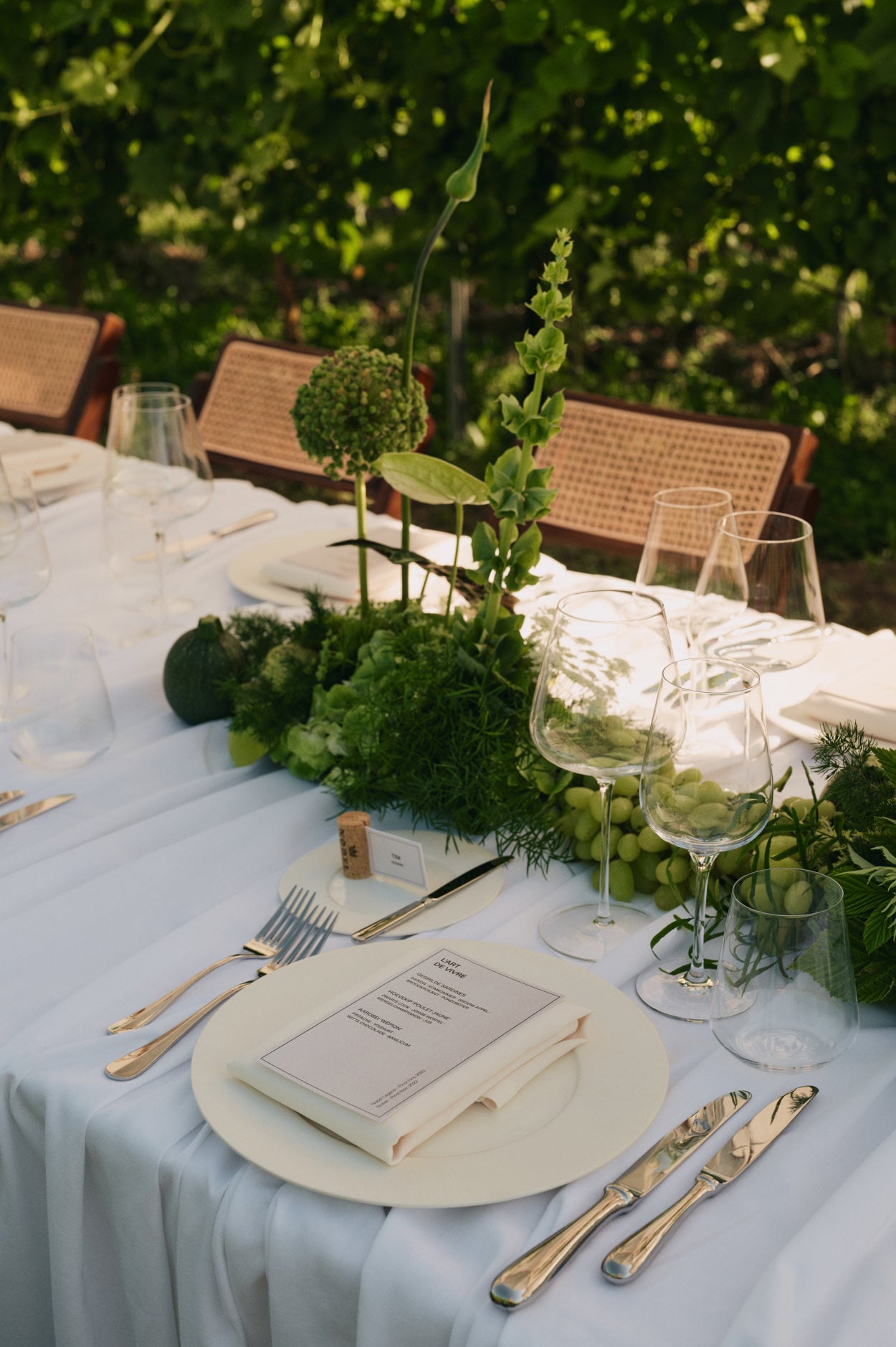Co-event Modular, Basalte, Cosentino, Orac in a vinyard
