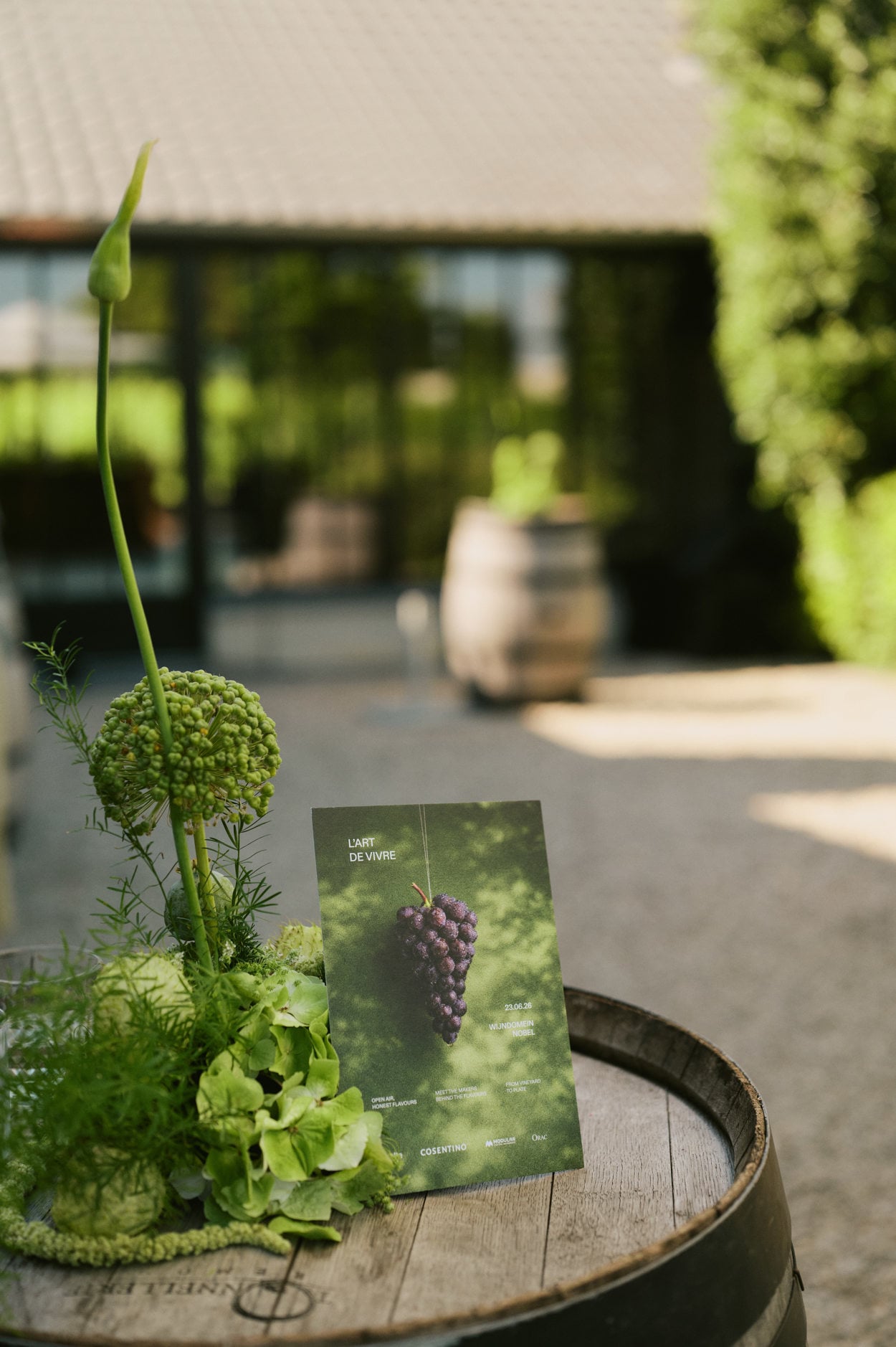 Co-event Modular, Basalte, Cosentino, Orac in a vinyard
