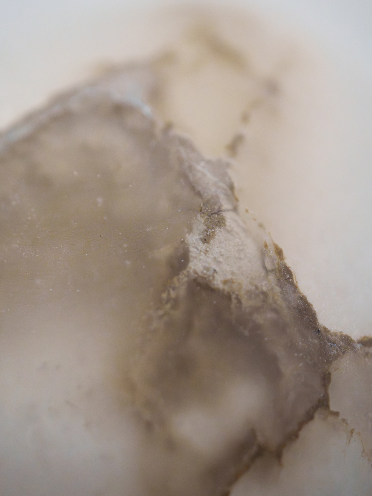 ALABASTER  A soft, translucent stone, shaped by nature 