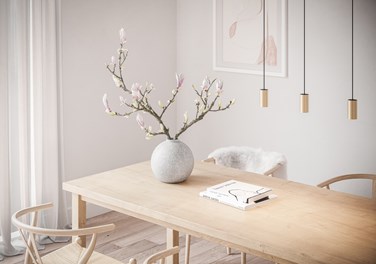 Pendant spot lights above dining table